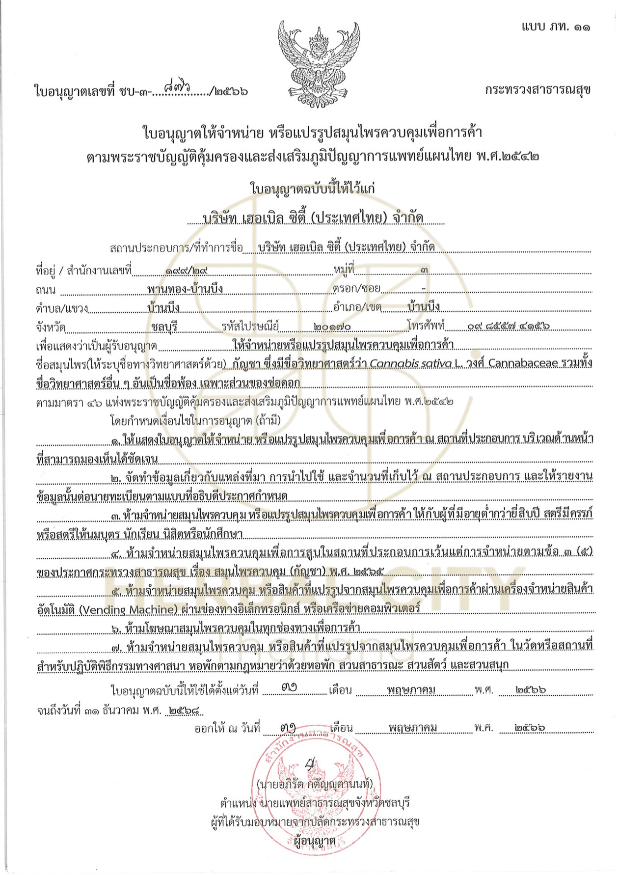 Processing / Commercial License